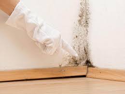 Best Residential Mold Inspection & Testing  in White Meadow Lake, NJ